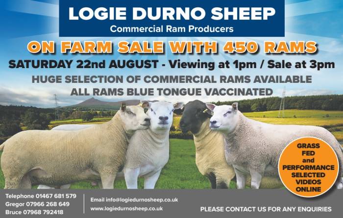 2026 Ram sale videos on line now