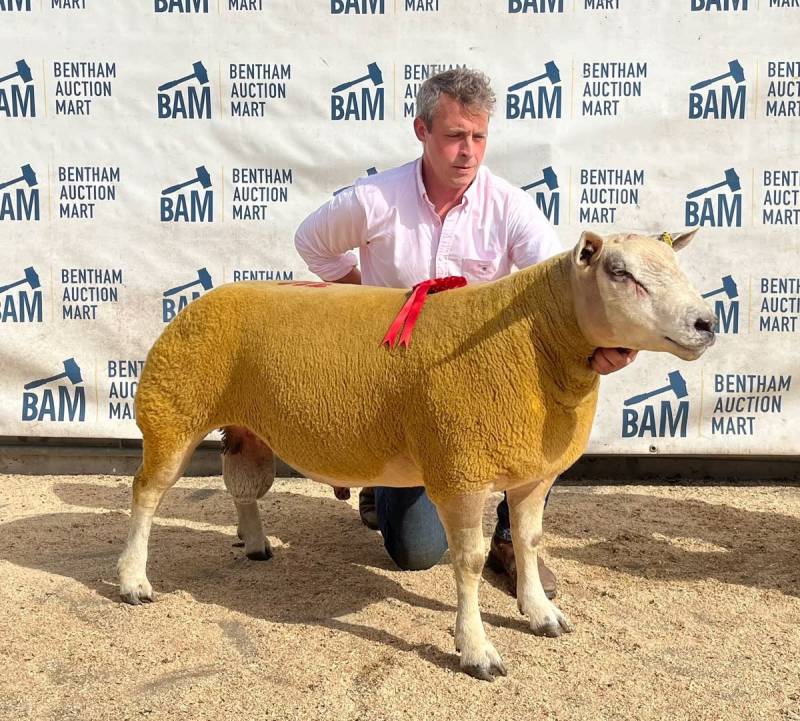 Champion sold for £3500 Durno