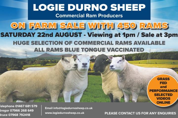 2026 On farm Ram Sale videos