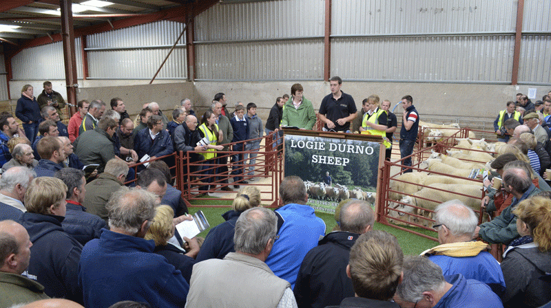 10 Years of on-farm ram sales